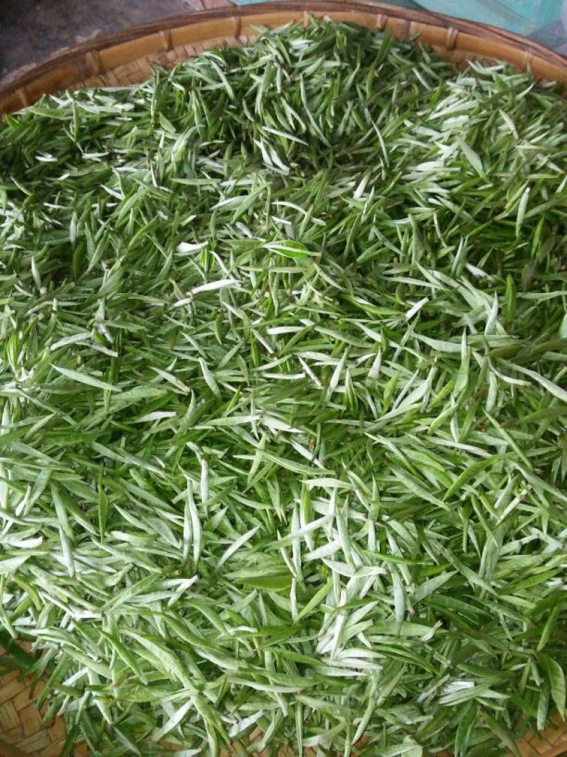 普洱茶特级