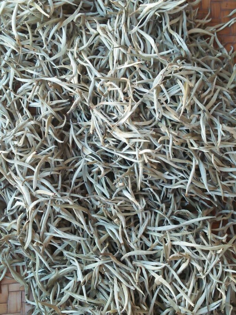 普洱茶特级