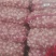 红蒜5~5.5cm干蒜