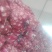 红蒜5~5.5cm干蒜