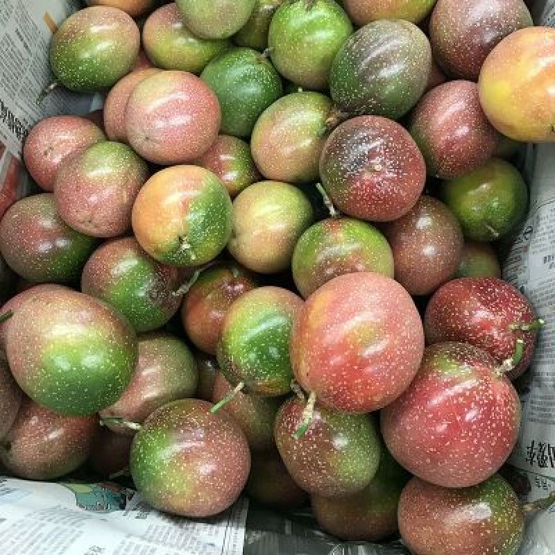满天星百香果5斤包邮39.9元