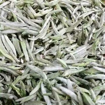 福鼎白茶一级