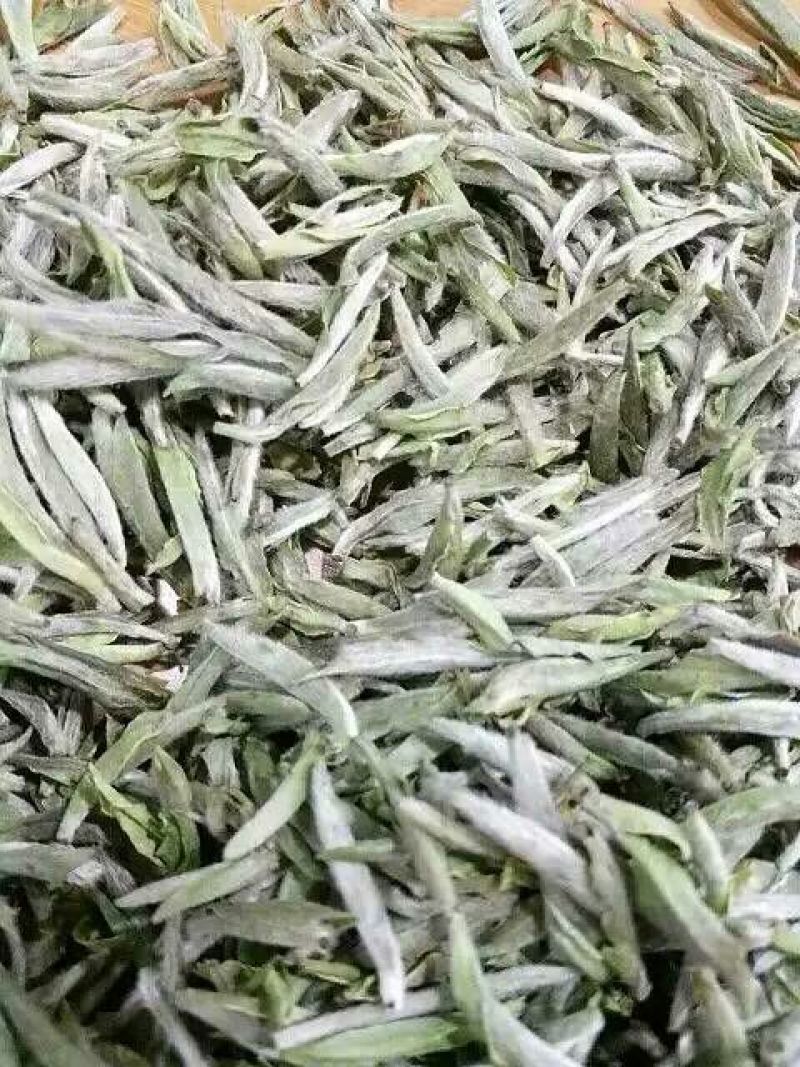 福鼎白茶一级
