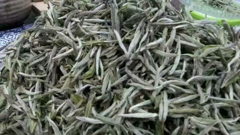 福鼎白茶一级