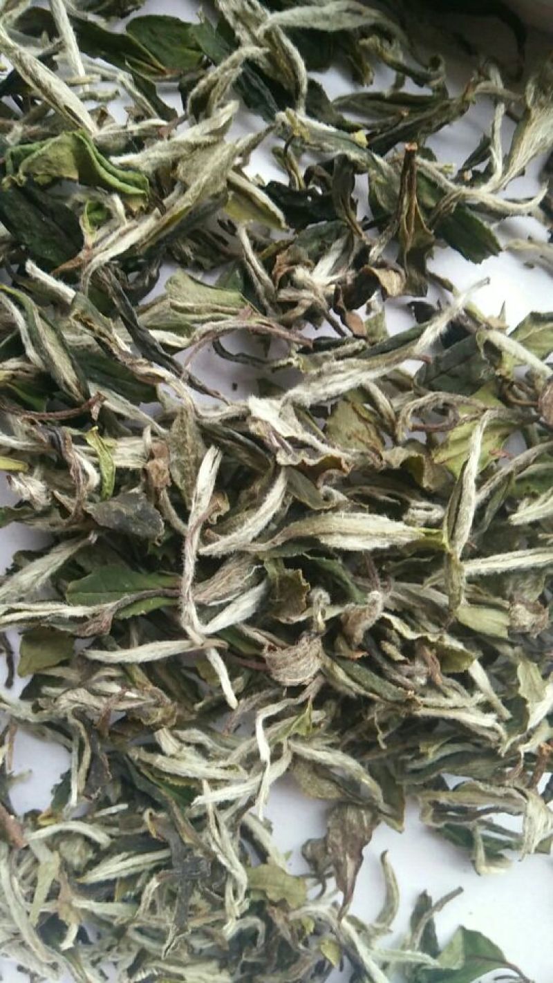 白牡丹一级
