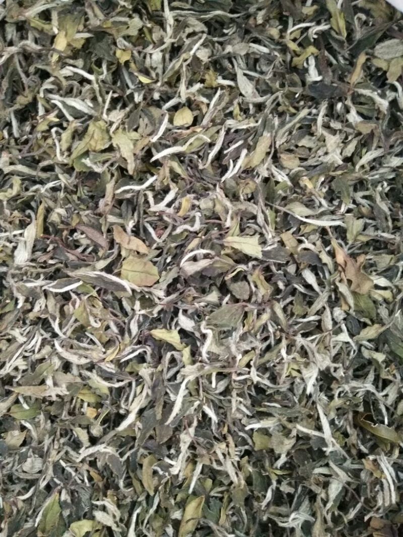 白牡丹一级