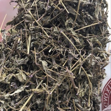 藤茶一级