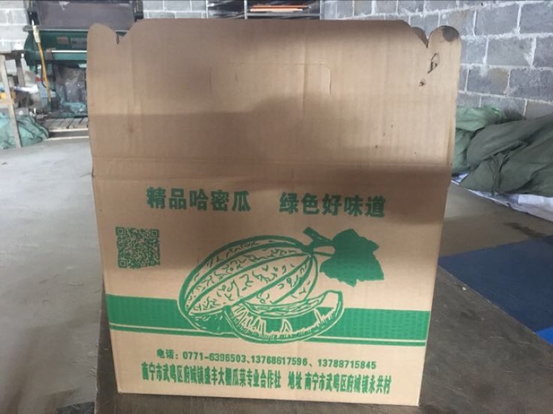 纸箱1号（530*290*370）