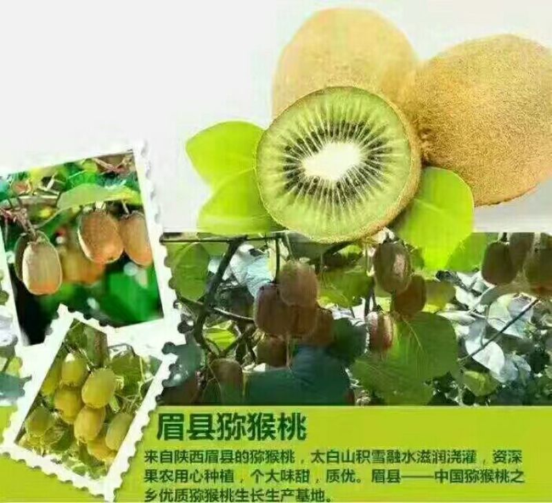 徐香猕猴桃