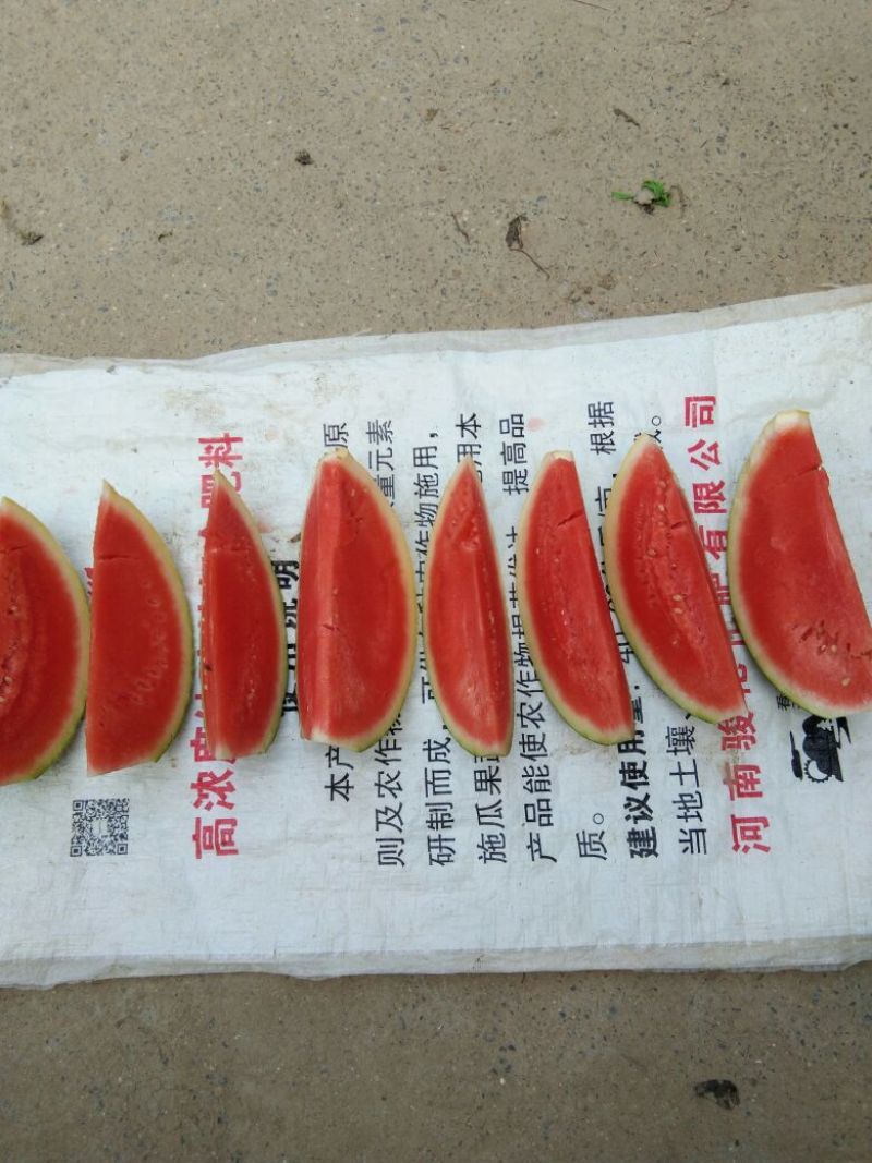 周口市太康县，产地直销花皮无籽西瓜8斤打底9成熟