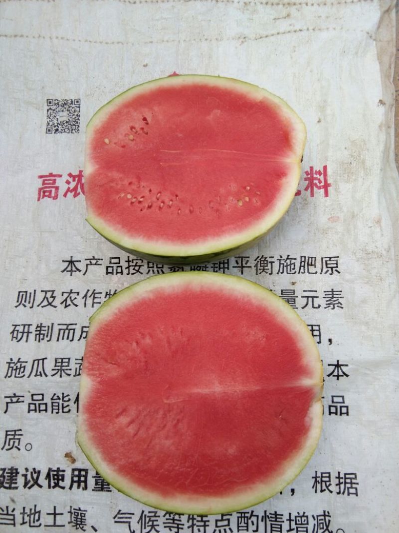 周口市太康县，产地直销花皮无籽西瓜8斤打底9成熟