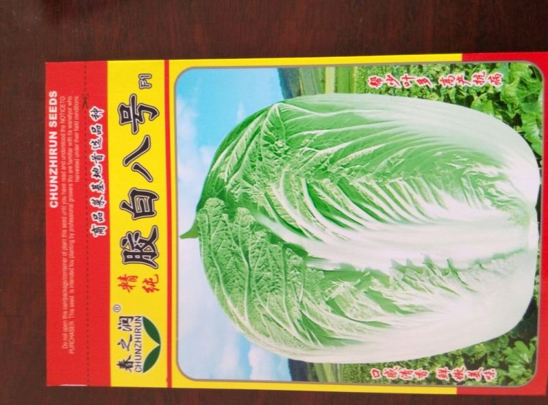 大白菜种子