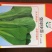 大白菜种子