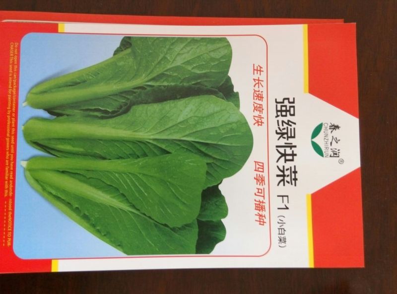 大白菜种子