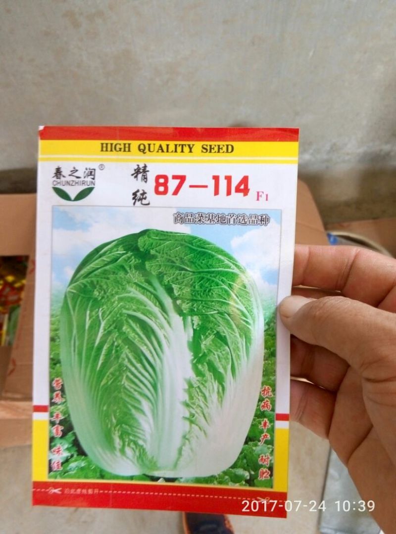 大白菜种子