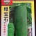 大白菜种子