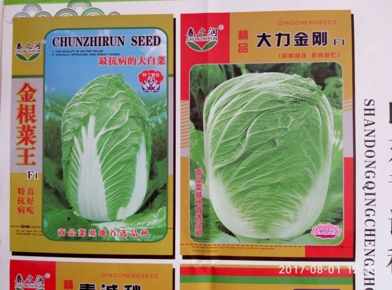 大白菜种子