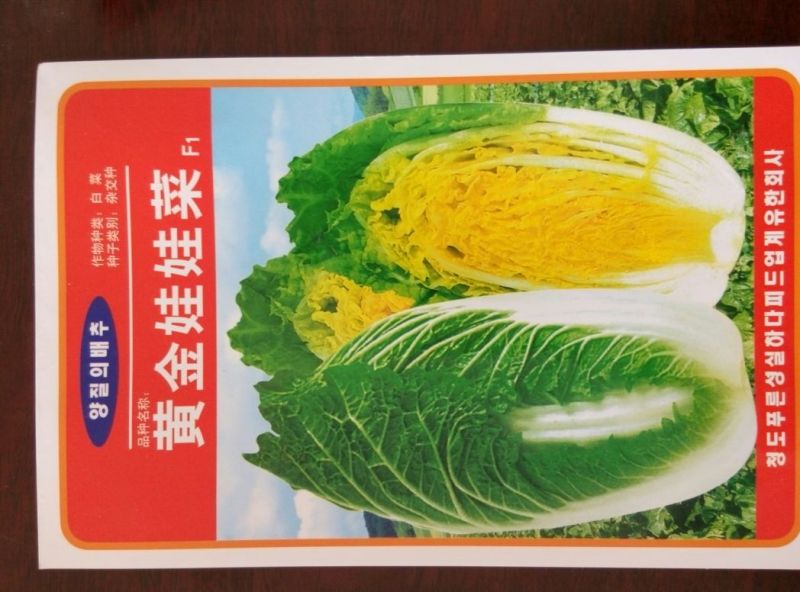 大白菜种子