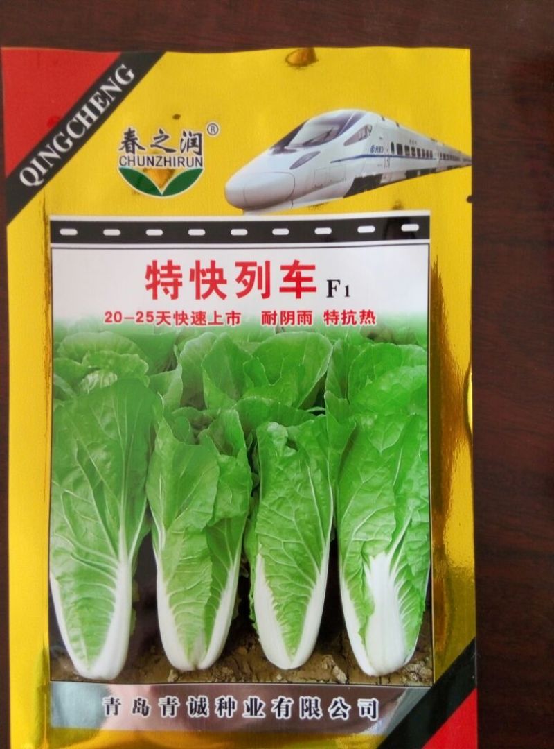大白菜种子