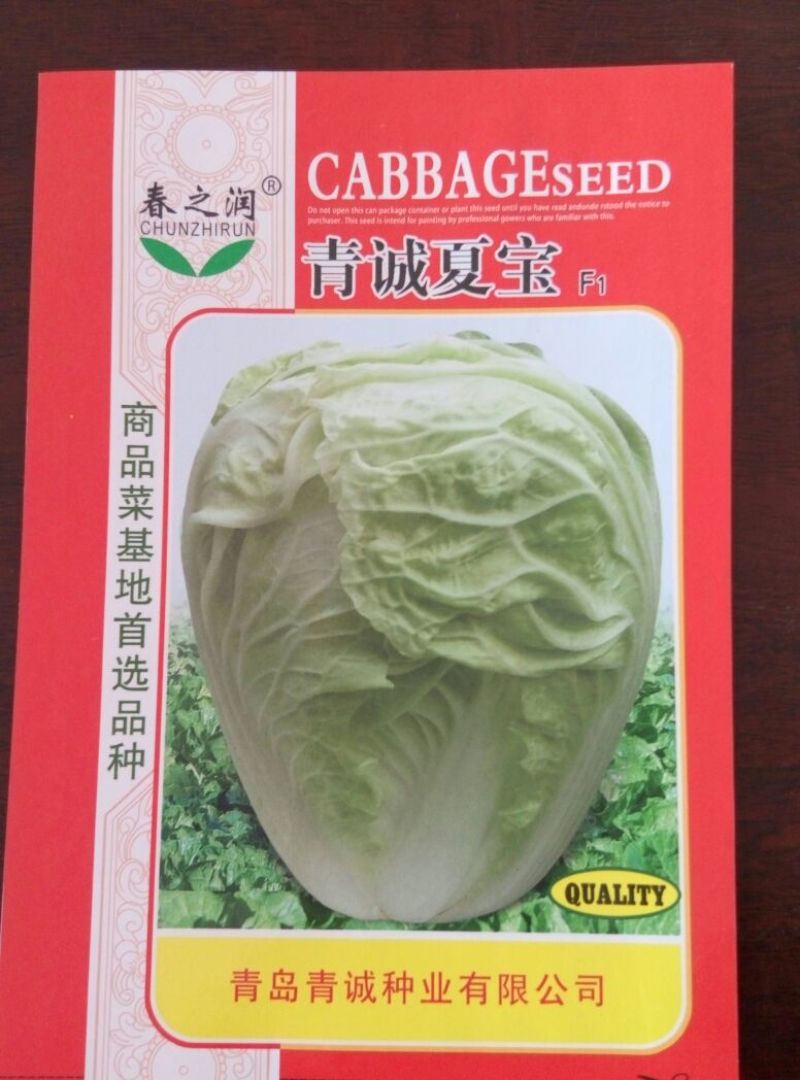 大白菜种子