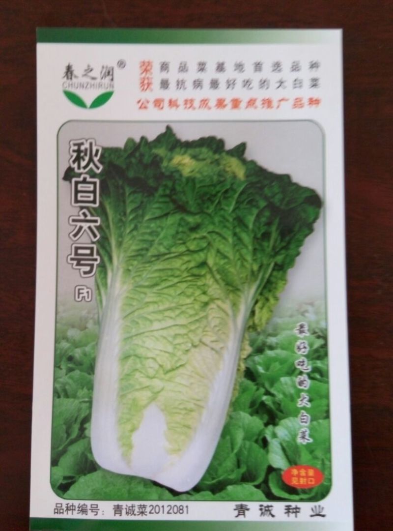 大白菜种子