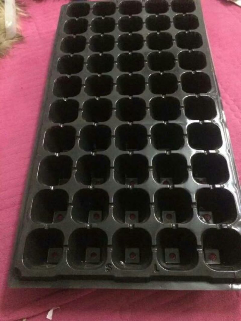 穴盘200孔育苗盘，基质盘，育苗穴盘，种植盘