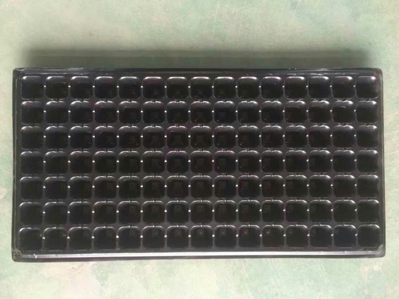 穴盘200孔育苗盘，基质盘，育苗穴盘，种植盘