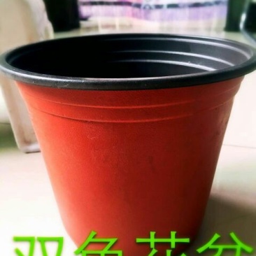 河北育苗用具双色盆双色软花盆外洪内黑花盆吸塑花盆