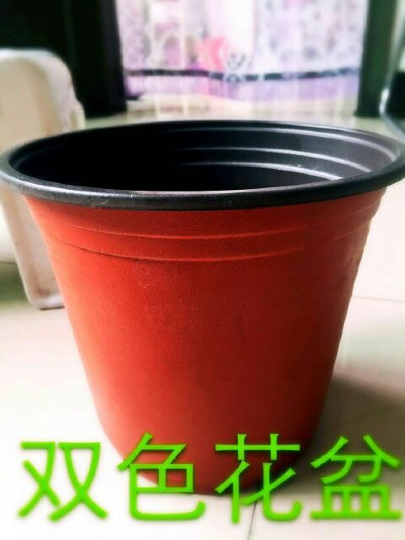河北育苗用具双色盆双色软花盆外洪内黑花盆吸塑花盆