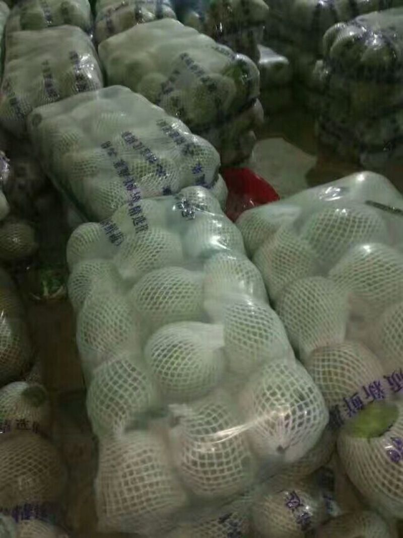 湖北甘蓝大量上市，货源充足，质量**，价格美丽