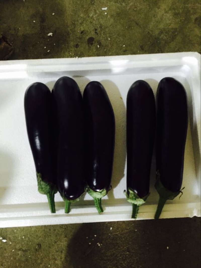 茄子5两以上