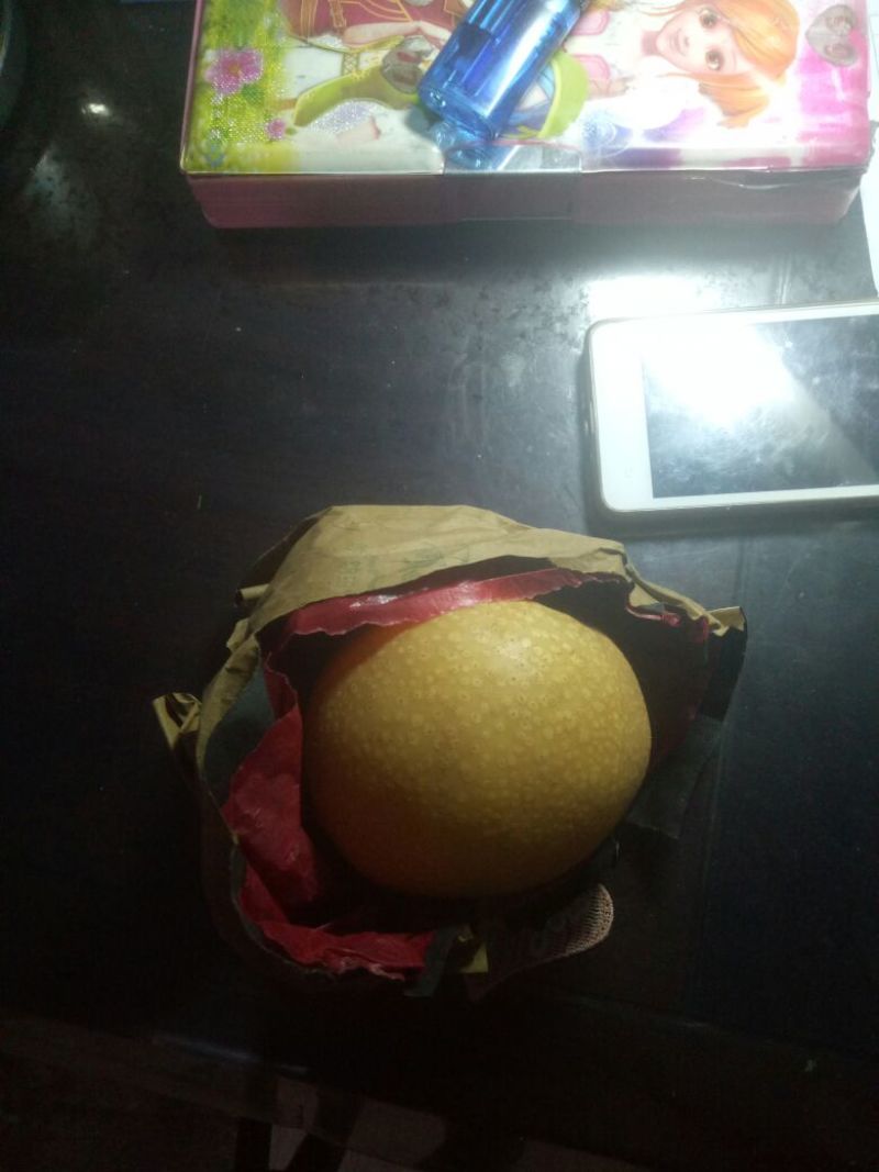 黄金梨，丰水梨果园看货，一手货源，口感脆甜多汁，全国发货