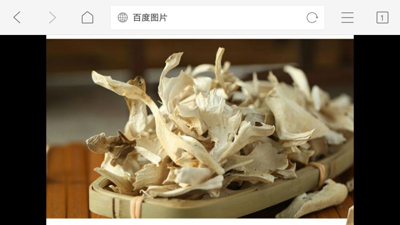 鲜栗蘑一级