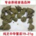鳖苗雄人工养殖