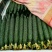 密刺黄瓜鲜花带刺25公分以上质量好价格低视频看货等您来电