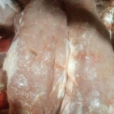 猪肉未加工加工整猪