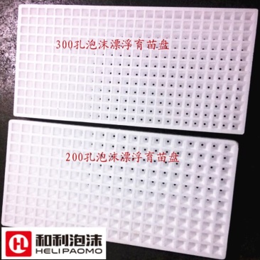 穴盘200孔
