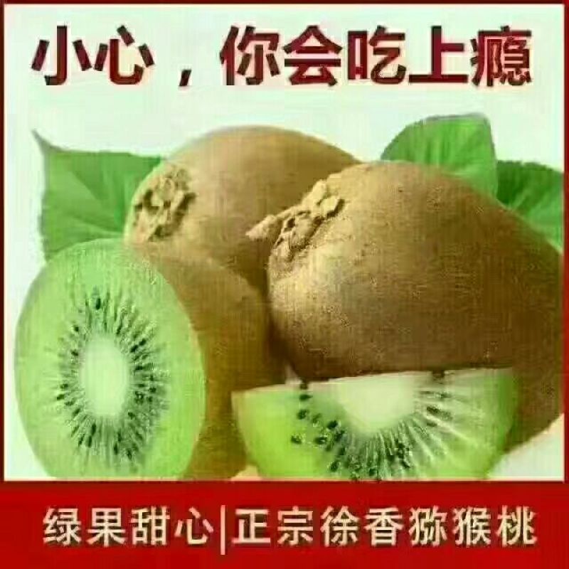 徐香猕猴桃