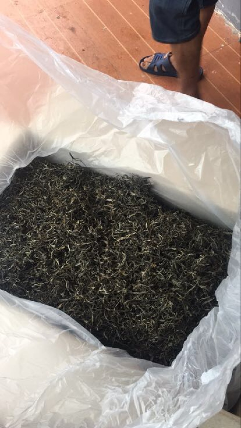 普洱茶一级