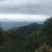 普洱茶一级
