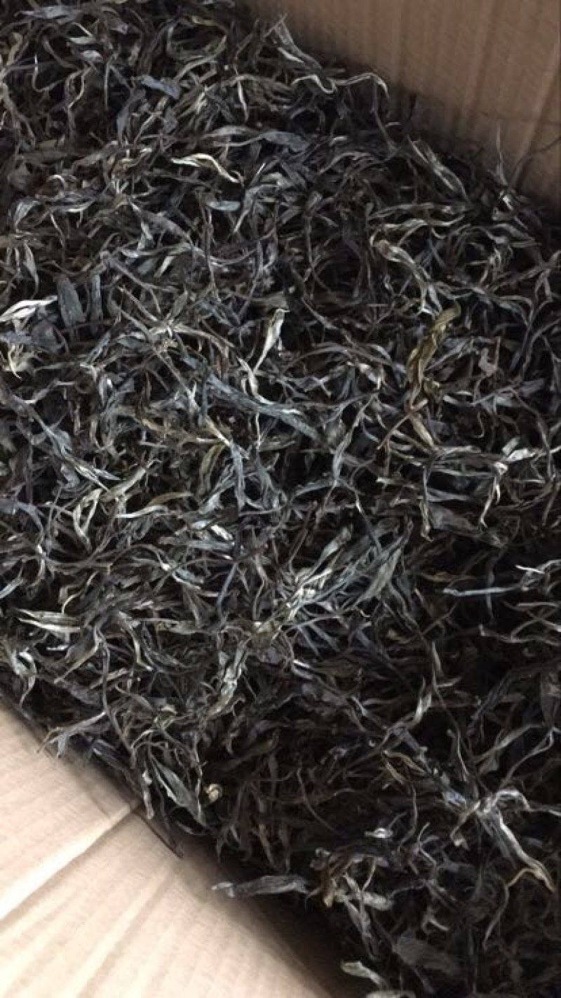 普洱茶一级