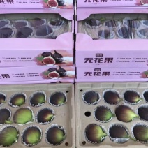无花果60~70g
