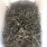 普洱茶一级
