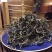 普洱茶一级