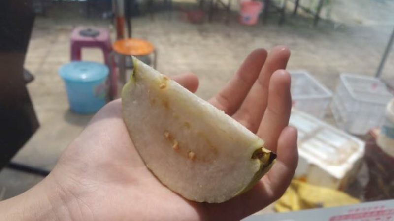 台湾番石榴白心芭乐，软香芭乐
