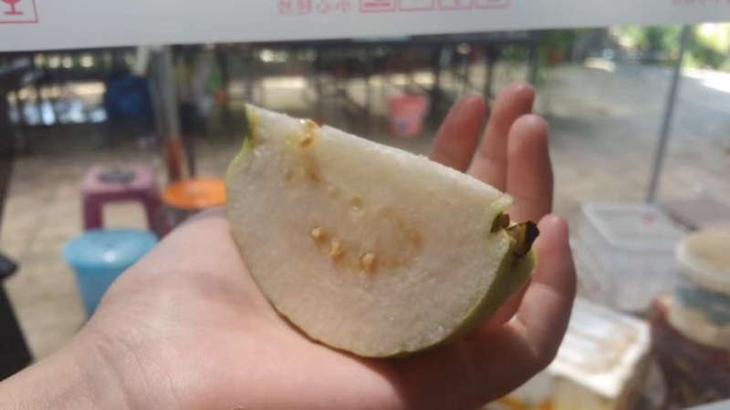 台湾番石榴白心芭乐，软香芭乐