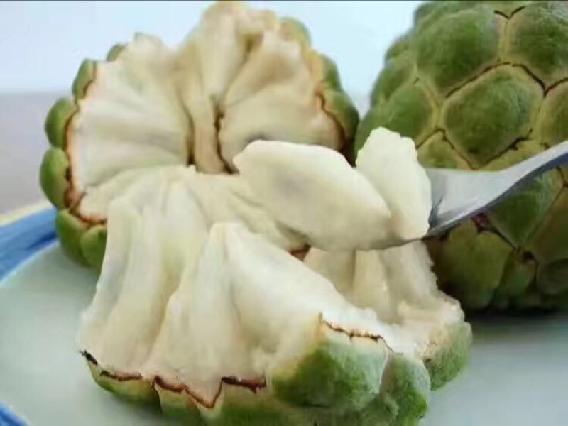 释迦一级100~150g