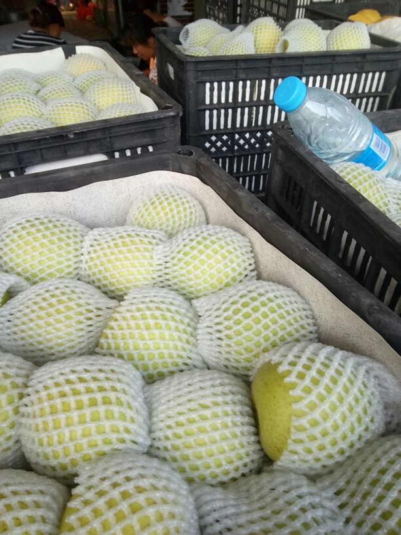 皇冠梨光果300~350g