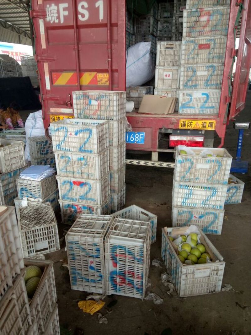 皇冠梨光果200~250g
