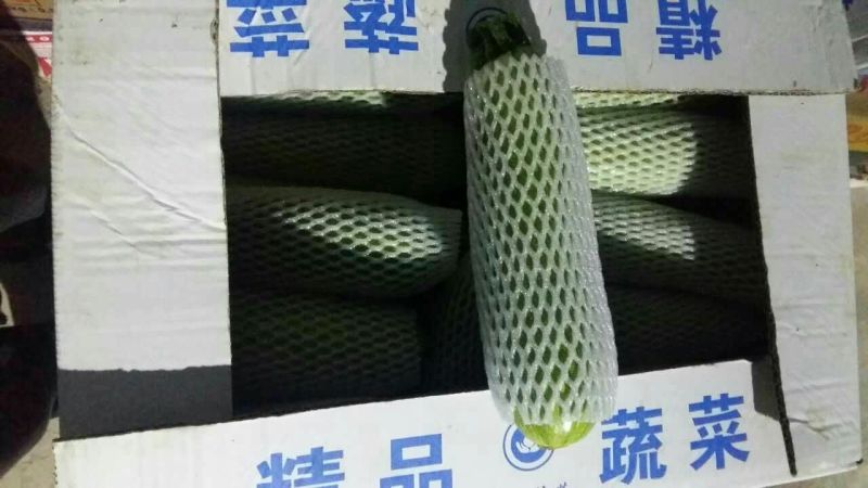 葫芦一斤左右的